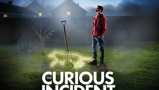 https://www.thenorthernecho.co.uk/news/25620368.curious-incident-dog-night-time-darlington/?ref=rss