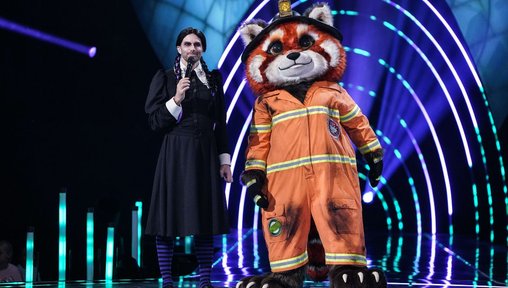 https://www.thenorthernecho.co.uk/news/national/uk-today/25774207.happened-red-panda-itvs-masked-singer/?ref=rss