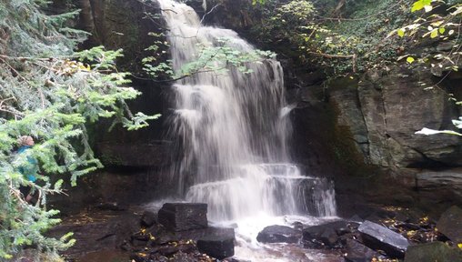 https://www.thenorthernecho.co.uk/news/25951183.harmby-waterfall-near-leyburn-yorkshire-hidden-gem/?ref=rss